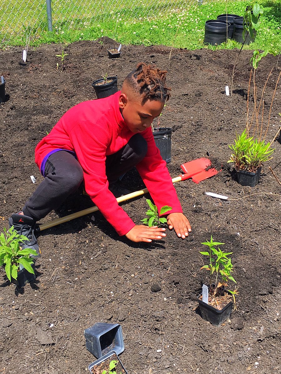 FayStreetElem's tweet photo. We are super excited about our pollinator garden! Stay tuned.... there’s more to come!
#FSE #AllTheWayUp #GreatThingsInStore #WeAreDPS
@DurhamPublicSch @pmubenga @drstacydstewart https://t.co/0p1WXfn3Fb