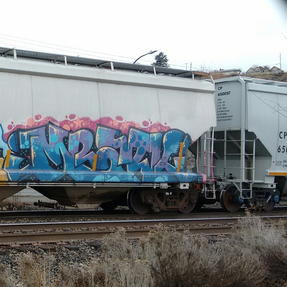 GraffitiExpress's tweet photo. payer mbark
#kamloops #train #graffiti #art
#payer #mbark https://t.co/nJYoV7WZtf