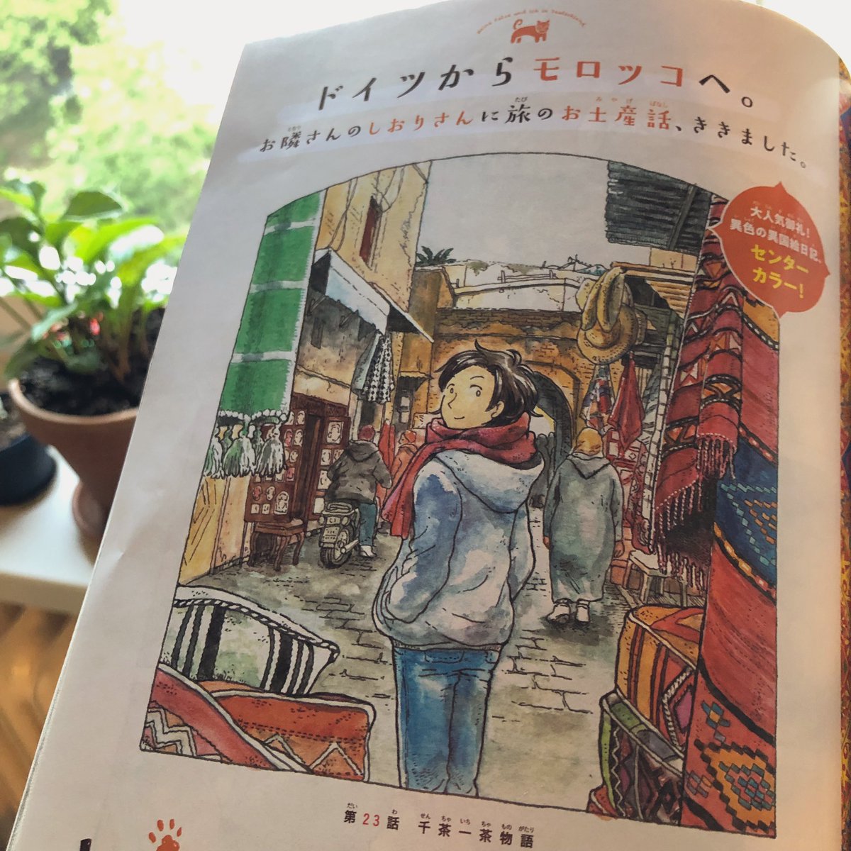 発売中の #サンデーS 6月号「#ねこと私とドイッチュラント」巻中カラー!にてモロッコ話掲載中です。
最近沈黙を決め込んでいるのは原稿に追われているからです。どれくらい追われているかと言うと、この続きを今描いているくらいです。
単行本2巻も今色々作っています。もう少しお待ちを!
