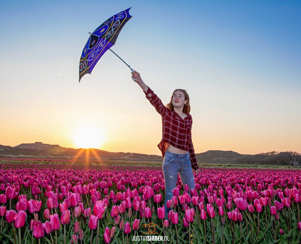Tussen de Texelse tulpen. #Texel #tulpen #love #flower #sunset #zonsondergang #justinsinner #fotografie #canonnederland