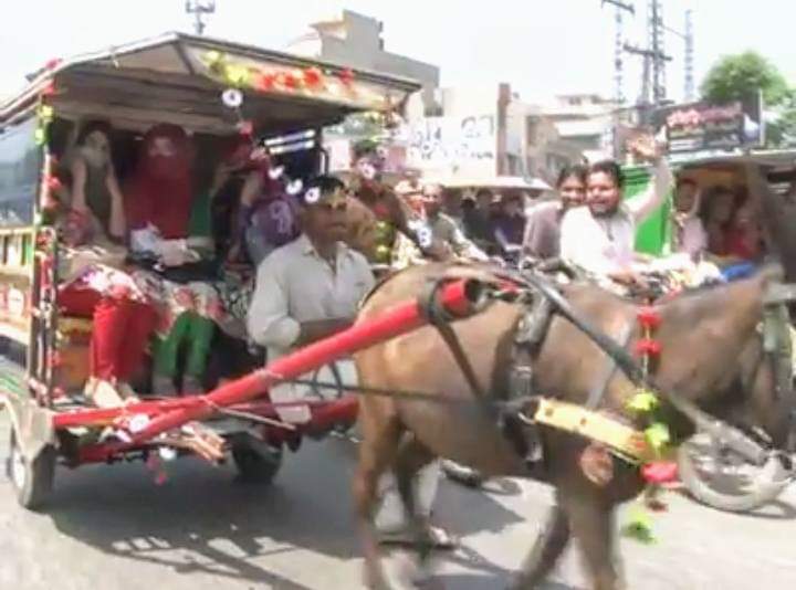FazlurR32042147's tweet photo. لاہوریوں کے لیے تبدیلی انصاف کھوتا چنگچیاں متعارف😛
پٹرول مہنگا ہونے پر چنگ چی مالکان نے موٹر سائیکل کی جگہ کھوتا باندھ لیا، / لاہوریوں کے مطابق پیٹرول مہنگا ہونے کی صورت میں تحریک انصاف حکومت نے نئی ٹرانسپورٹ متعارف کرادی۔
#No_More_Change
#Moulana_Is_Comming
#No_More_Polio https://t.co/Zn5GlMVv1i