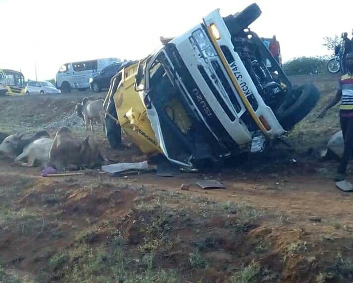 One person,5 bulls died on the spot in a road accident this evening after a track ferrying cattle heading to Nairobi  overturned at Kavaini  area along Mwingi _Nairobi road in  Kitui County.