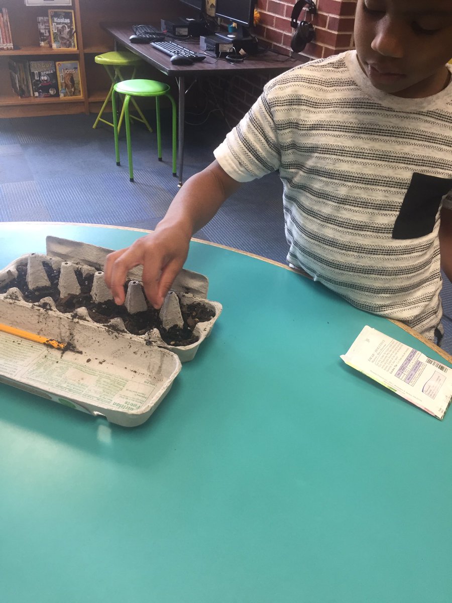 EcoffLibrary's tweet image. Planting seeds with K classes this week @EcoffElementary! #ccpslibraries
