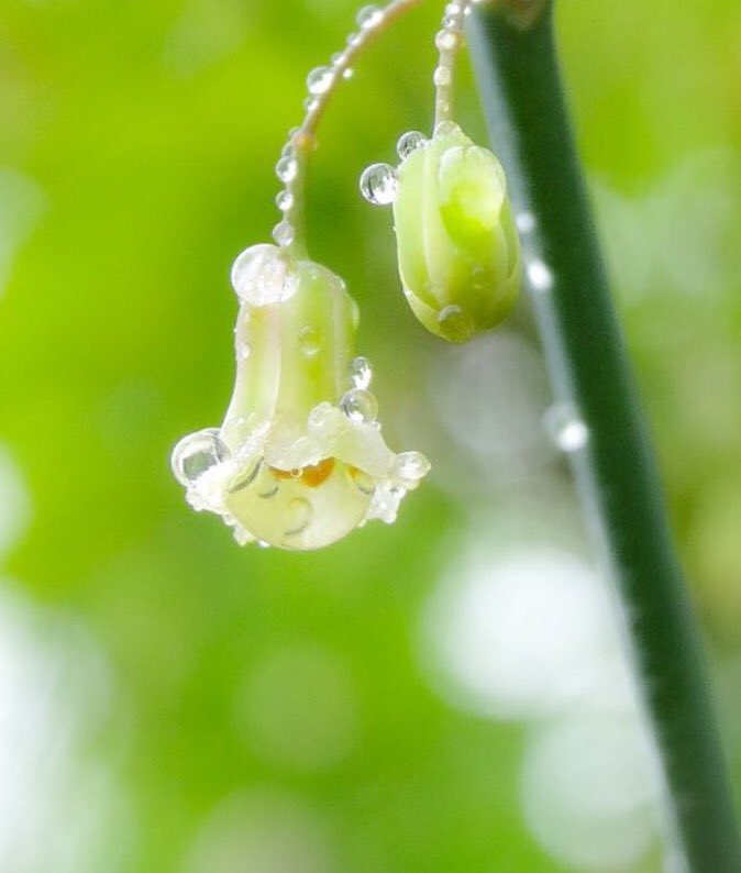 春の雨は、しっとりと降るから…
あれも…これも…
心配と寂しさが押し寄せてくる

でも、大丈夫だよね？
あたたかい春の日差しと一緒に
私たちの心も、ぽかぽかしてくるのを知っているから🥰