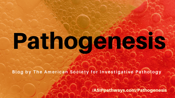 ASIPath's tweet photo. New Pathogenesis Blog on PathWays - #ASIP2019 @ExpBio Update with photos, awards, information & more! #Pathogenesis #Blog #ExpBio https://t.co/uw5POdVlv8 https://t.co/wV5XniUxZF