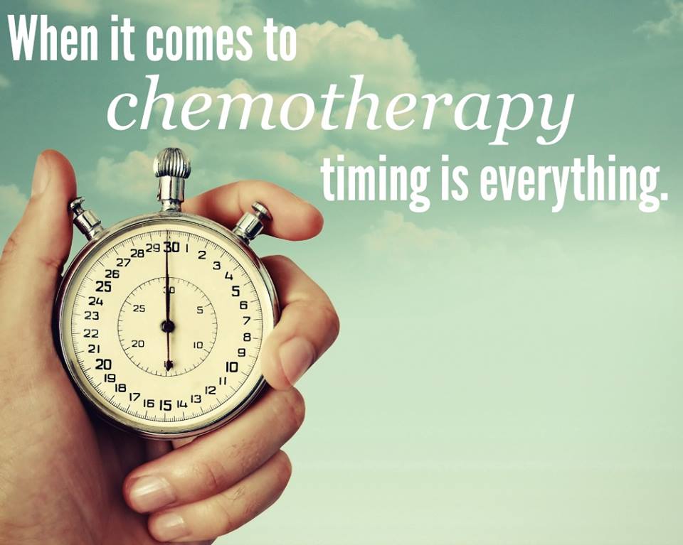 TheBlockCenter's tweet image. What is chronomodulated chemotherapy @TheBlockCenter ? Read more below and call a patient advocate today at 1-877-41-BLOCK to learn more or visit blockmd.com/services/chron…

#chemotherapy #chronotherapy #nutrition #BeatCancer