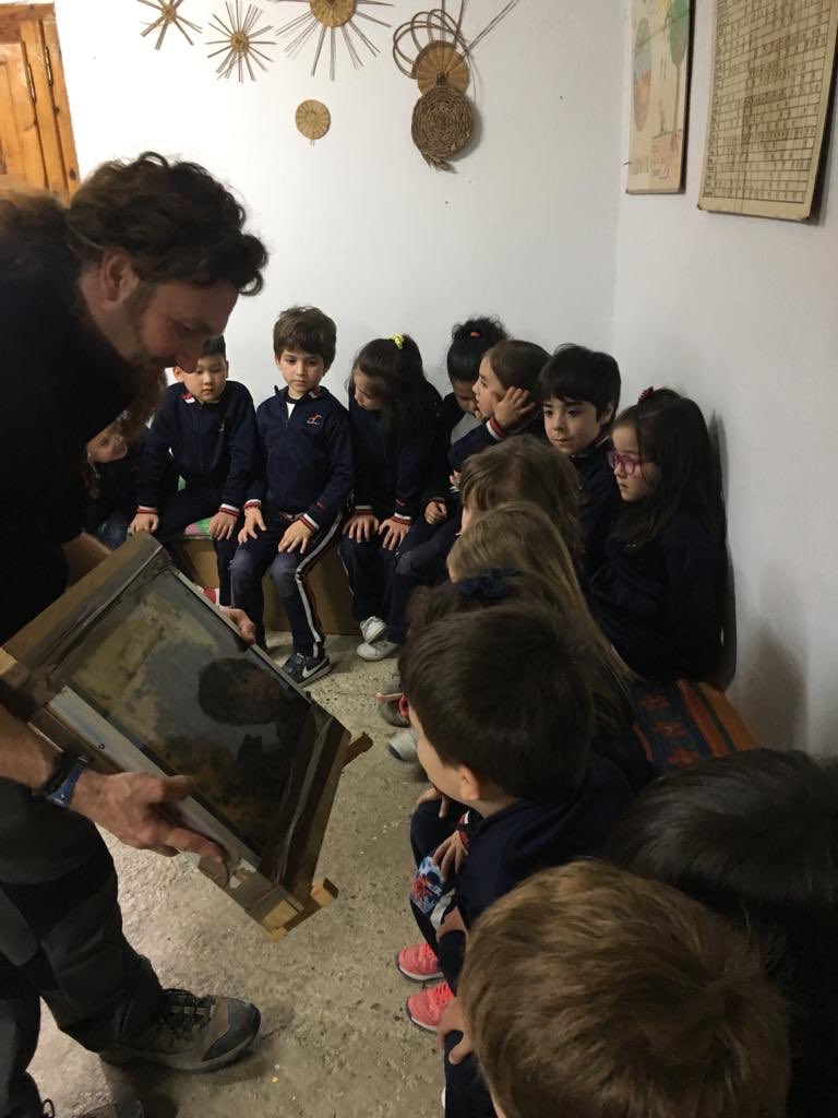 MontessoriPrim's tweet photo. Después de comer llegan los talleres. Taller de apicultura. 🐝🐝🐝🐝 https://t.co/W1CkDx9knt