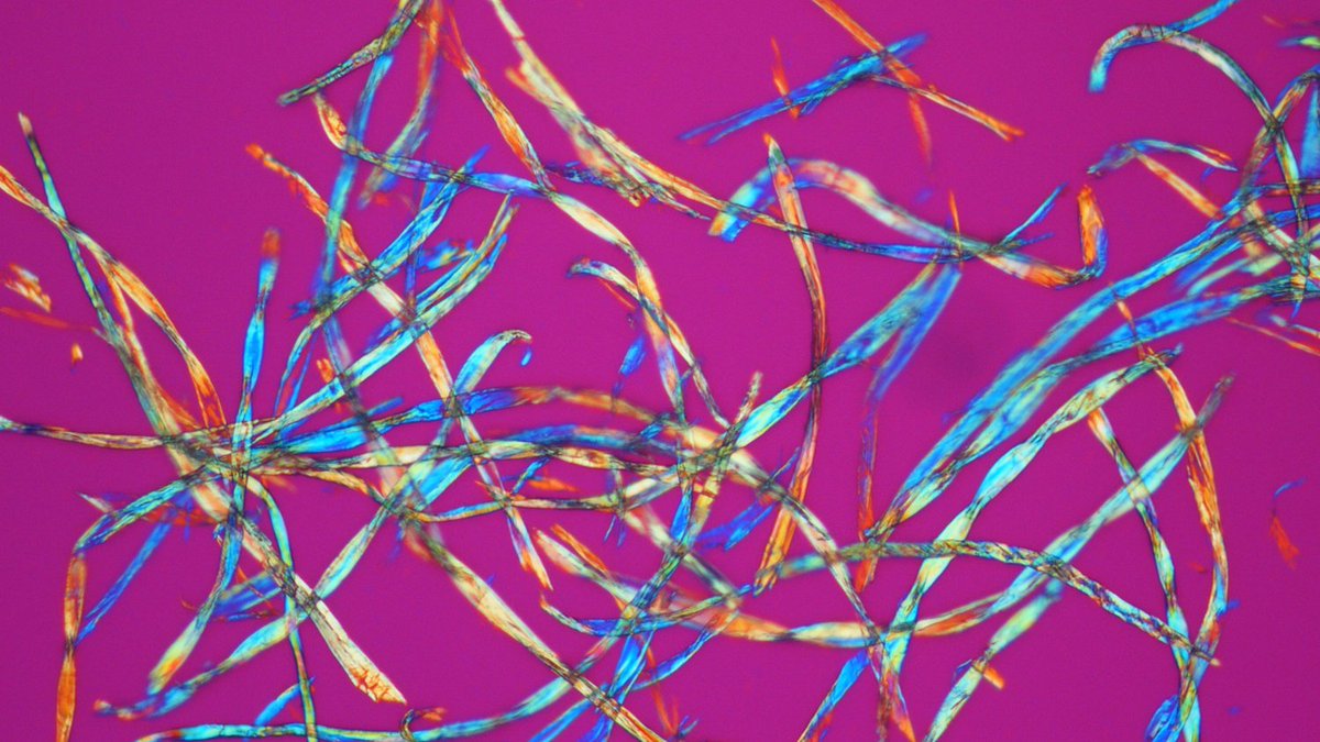 NCStateWilson's tweet image. Winners of the TAGS Research Image Contest were featured at the Textiles Research Open House. Check out the winning images here: ncst.at/bGyvyE