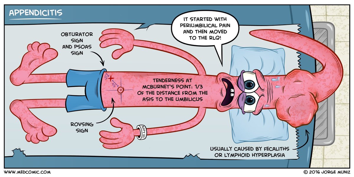 MedComic's tweet photo. Appendicitis
https://t.co/8NttEyoHDn https://t.co/xrPsadb8mX