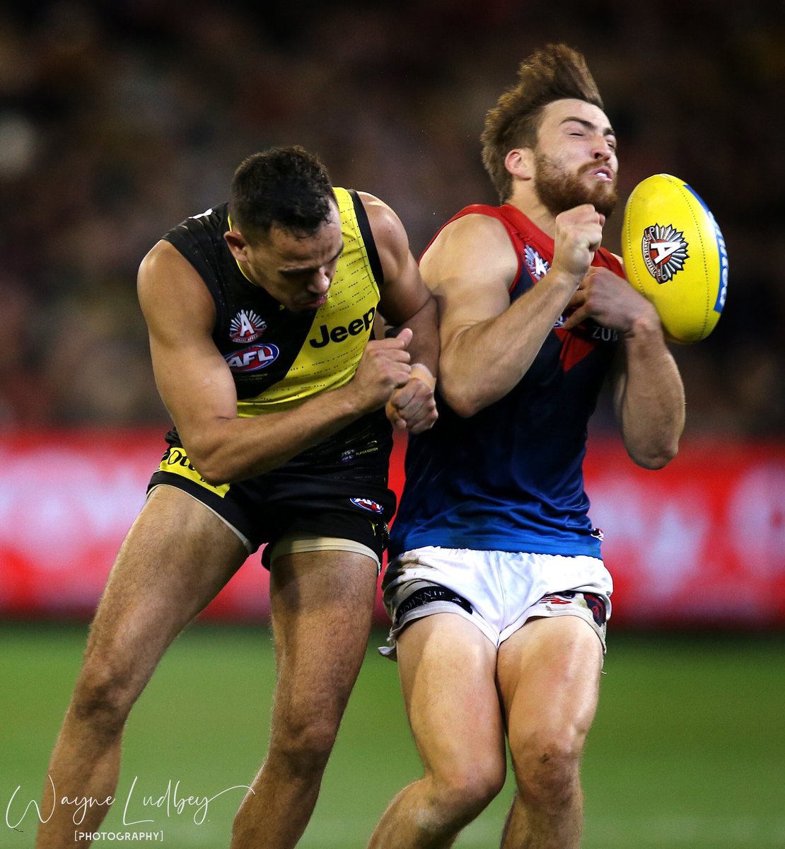 SydneyStackClub's tweet image. Thank you, next. 

@SydneyStackClub 
#AFLTigersDees
