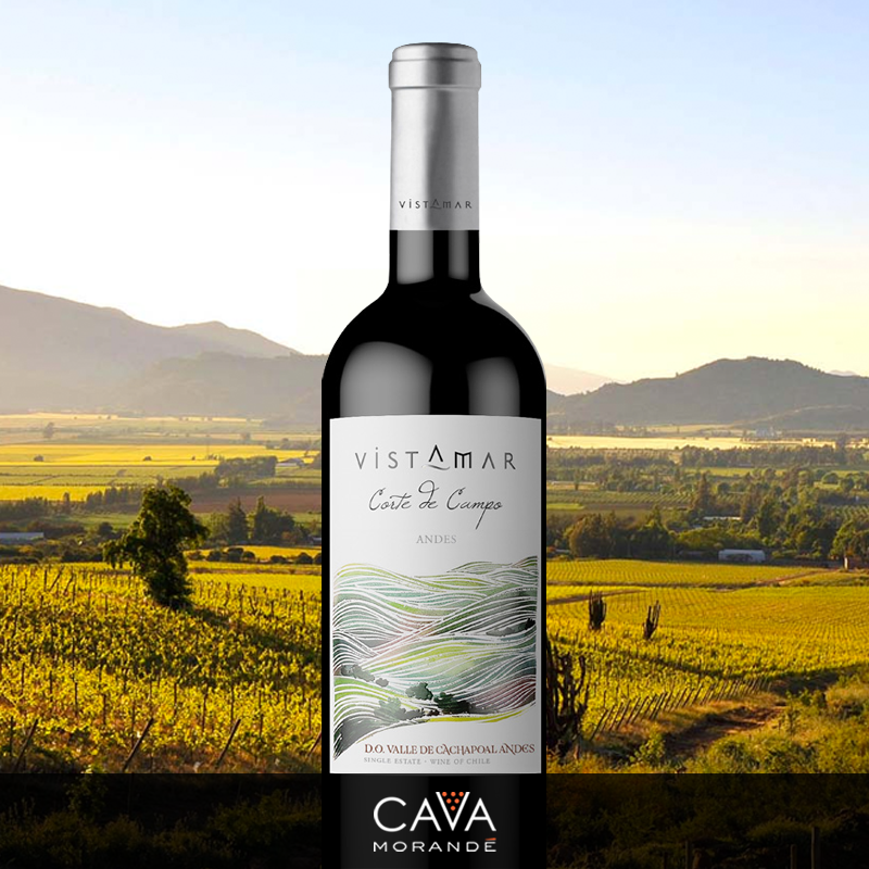 CavaMorande's tweet photo. En el Valle de Cachapoal Andes nace este vino  de gran atractivo, con un jugoso sabor a frutas maduras y gran estructura. Consíguelo en: https://t.co/3JsZ9yeDYv https://t.co/gIc8YH973z