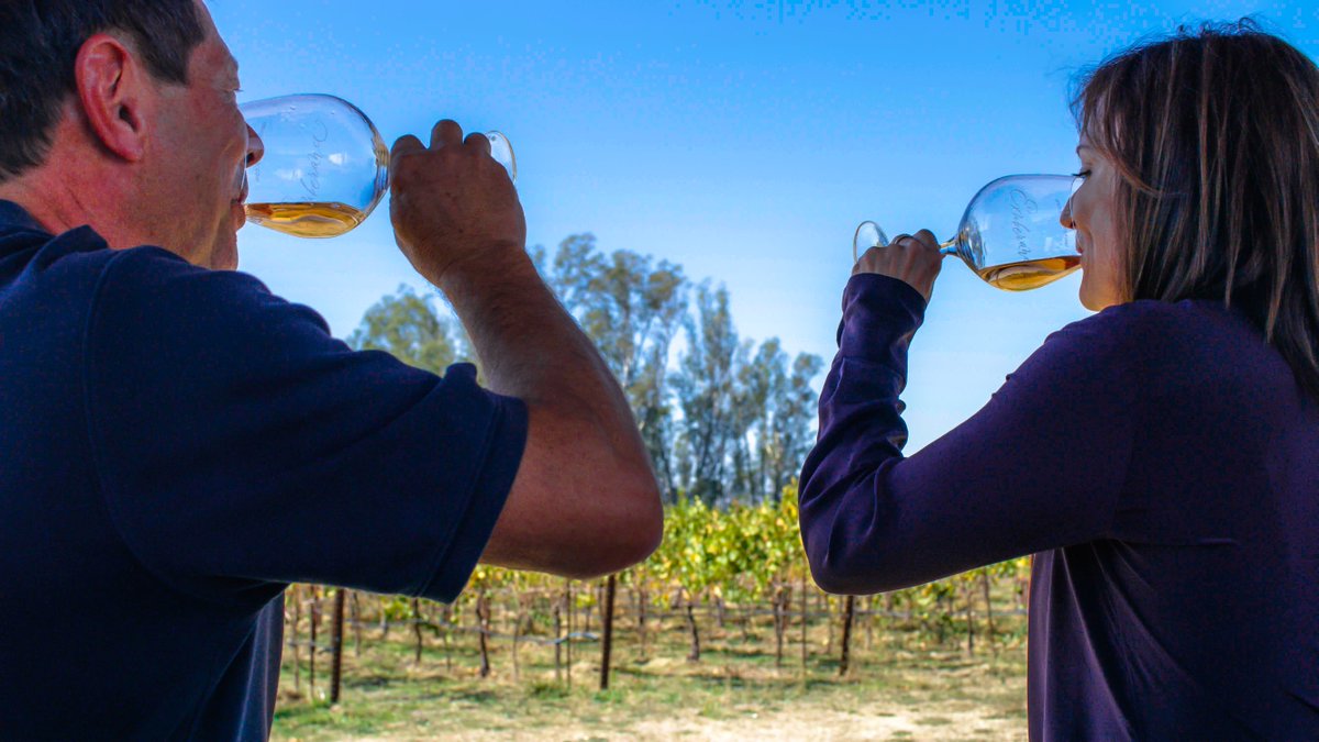 canihanwines's tweet photo. Bill Canihan &amp; guest enjoying a refreshing glass of Rose that Canihan Wines creates. Nothing more refreshing than enjoying a cool glass on a hot day. #canihanwinery #canihanvineyard #vineyard #winemaking #winetasting  #somm #sommeliers @epicsteak @morginwharris @hewinebowgroup https://t.co/ki2eGF3bp9