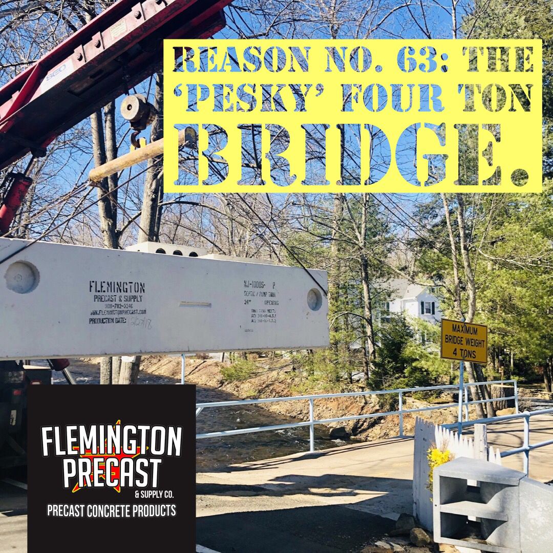 PrecastNJ's tweet photo. Island Road, Gladstone, NJ. An entire row of houses solely accessible over a small four ton bridge. Just another reason why our split-seam precast concrete tanks are so highly favored in the great Garden State. https://t.co/XsB2vhqila