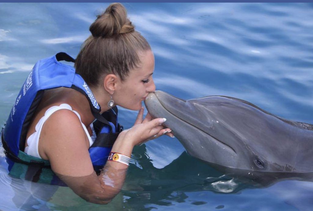 J’aime les Dauphins 🐬 ❤️🌹🌷Un J’aime au passage pour eux si C’est aussi le car 😊