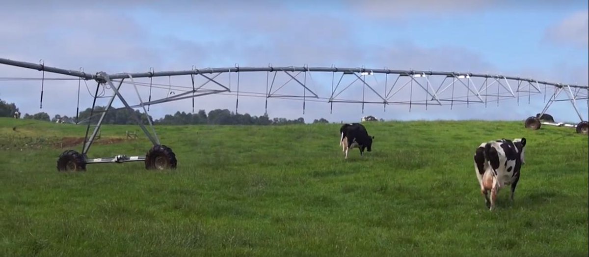 Aproval-Leche AG (@aprovalleche) on Twitter photo ¿Cómo hacer un uso más eficiente del riego en praderas? Compartimos un nuevo video de nuestro proyecto “Mejoramiento de la gestión y eficiencia del riego en la producción primaria de leche en la Región de Los Ríos”, cofinanciado por <a href="/corporacionlosr/">Corporación de Desarrollo Productivo Los Ríos</a> bit.ly/2LepE5d ¿Cómo hacer un uso más eficiente del riego en praderas? Compartimos un nuevo video de nuestro proyecto “Mejoramiento de la gestión y eficiencia del riego en la producción primaria de leche en la Región de Los Ríos”, cofinanciado por <a href="/corporacionlosr/">Corporación de Desarrollo Productivo Los Ríos</a> bit.ly/2LepE5d