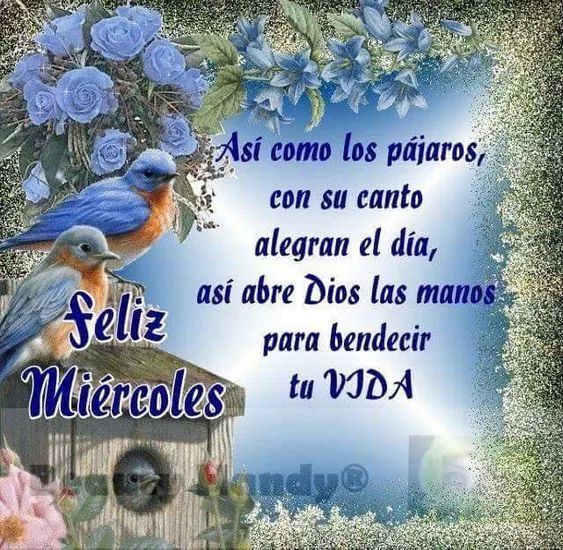Violeta Feliz Miercoles Lleno De Bendiciones Violeta Feliz Miercoles Lleno De Bendiciones