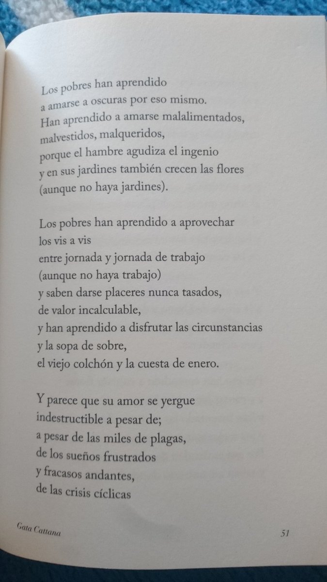miriamrodriggo's tweet photo. gata cattana https://t.co/tWCXLr3ZPz