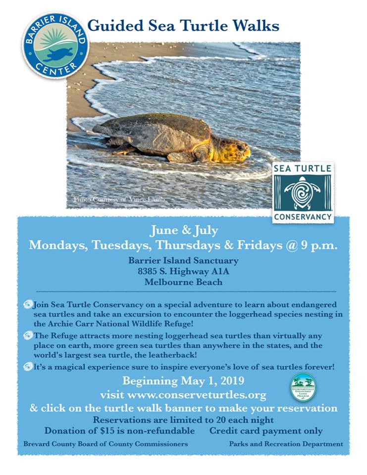 conserveturtles's tweet image. Starting May 1, you can reserve a spot on one of our nighttime Guided Turtle Walks in the Archie Carr National Wildlife Refuge! Check out the flyer for more info!