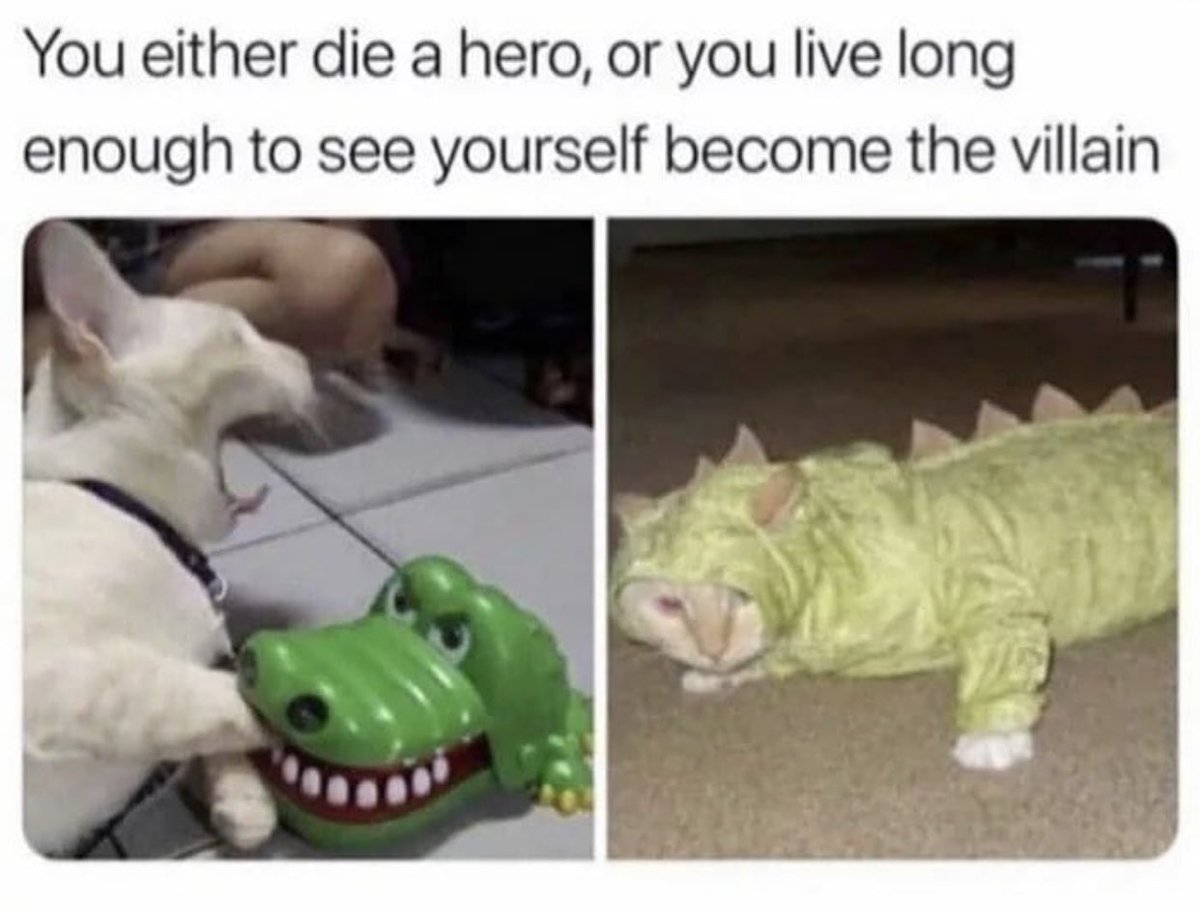 RyanClubOff's tweet image. Happy Wednesday kiddos