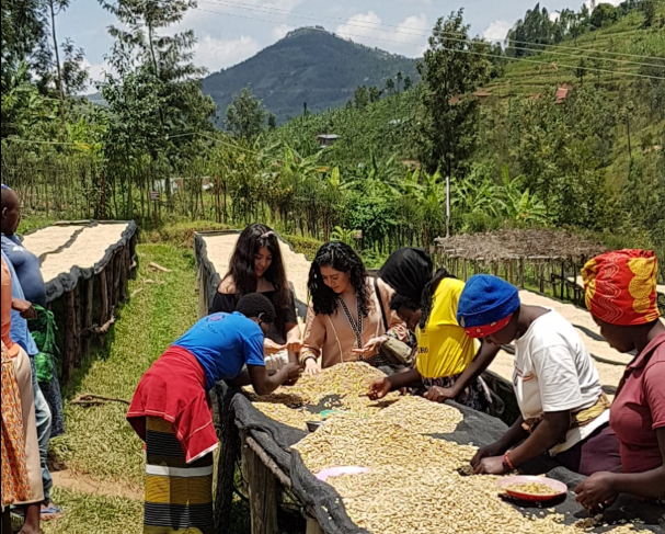 HECParisSnO's tweet photo. .@HECParisSASI on study trip to Africa #SASItravels #Rwanda https://t.co/uVE9SCaksR It allowed the students to witness the dynamism of one of Africa’s most resilient economies cc @Olivier_Menuet @jeremyghez #HECstudytrips https://t.co/EZUEnwdtOM