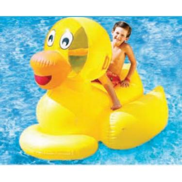 There are so many awesome pool toys out there!! This article takes a look at all the new pool toys for the 2019 swim season!! Visit either of our 2 locations to find your perfect pool floaty!!
#mermaidpools #pooltoys

bit.ly/2UEMO49