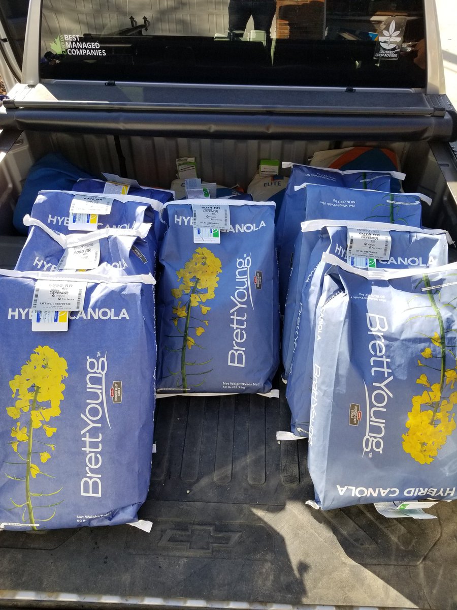 AlVanCaeseele's tweet photo. Tis the season. Another load of @BrettYoungSeeds trial seed hitting a #WestCdnAg farm near you #6074RR #6090RR #Plant19 https://t.co/O1755Myec1