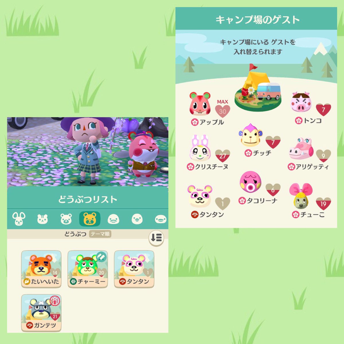 森 ジョニー12 13 14回目 パンダ だから笹 地図無ーし 8連敗 ポケ森 ポケ森新キャンパー ポケ森ジョニーからの地図 T Co Ik8wtlfyny Twitter 森 ジョニー12 13 14回目 パンダ だから笹 地図無ーし 8連敗 ポケ森 ポケ森新キャンパー ポケ森ジョニーからの地図 T Co Ik8wtlfyny Twitter