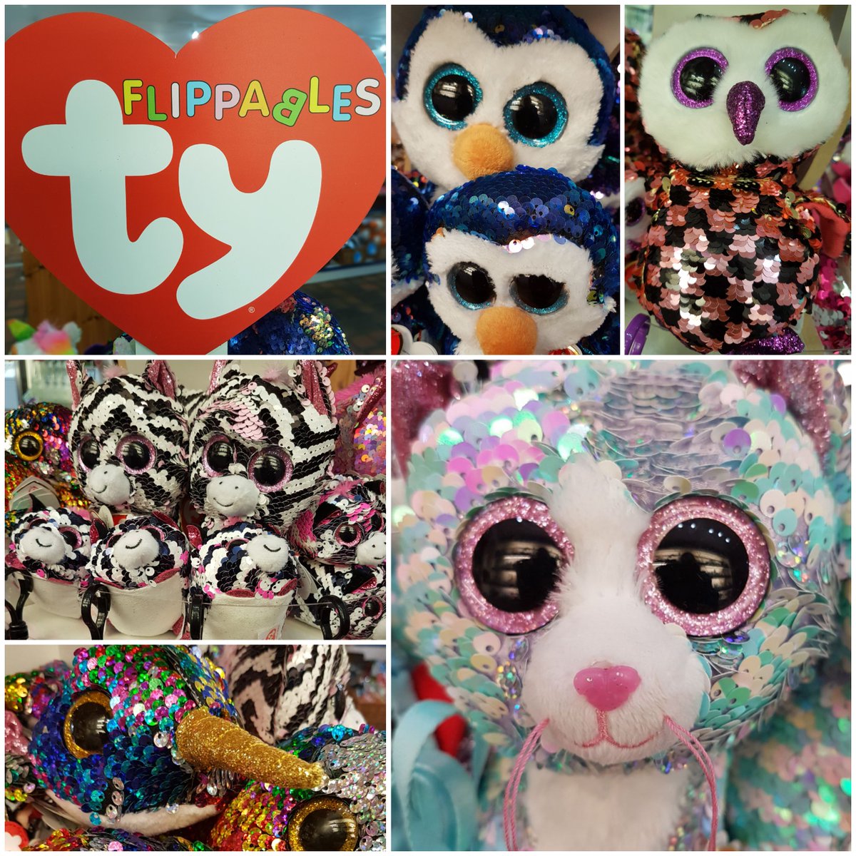 angleseyseazoo's tweet photo. A wonderful new range of TY Flippables has landed in our Gift Shop! Payton the Penguin, Calypso the Narwhal and Checks the Owl are among the adorable #BeanieBoos #TYFlippables https://t.co/lhmuBcH79b