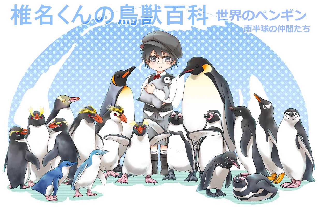 ペンギンの種類の見分け方知っていますか？これを見れば分かります！！