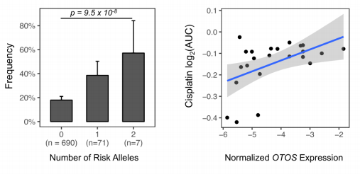 UChicagoCancerCenter tweet media