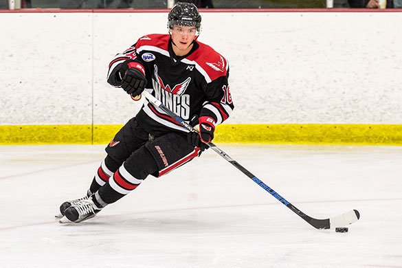 #NAHL Commitment Alert: @Aberdeenwings forward Stepan Pokorny, who is also an <a href="/NAPHL/">NAPHL</a> alum, has committed to play NCAA Division I <a href="/collegehockey/">College Hockey Inc.</a> for <a href="/FerrisHockey/">Ferris State Hockey</a> in <a href="/WCHA_MHockey/">WCHA Men's Hockey</a> #MadeintheNAHL #LadderofDevelopment nahl.com/news/story.cfm…