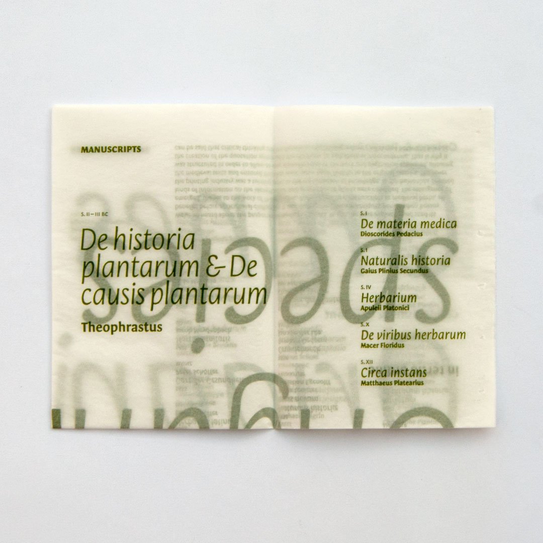 Rayitas Azules tweet media