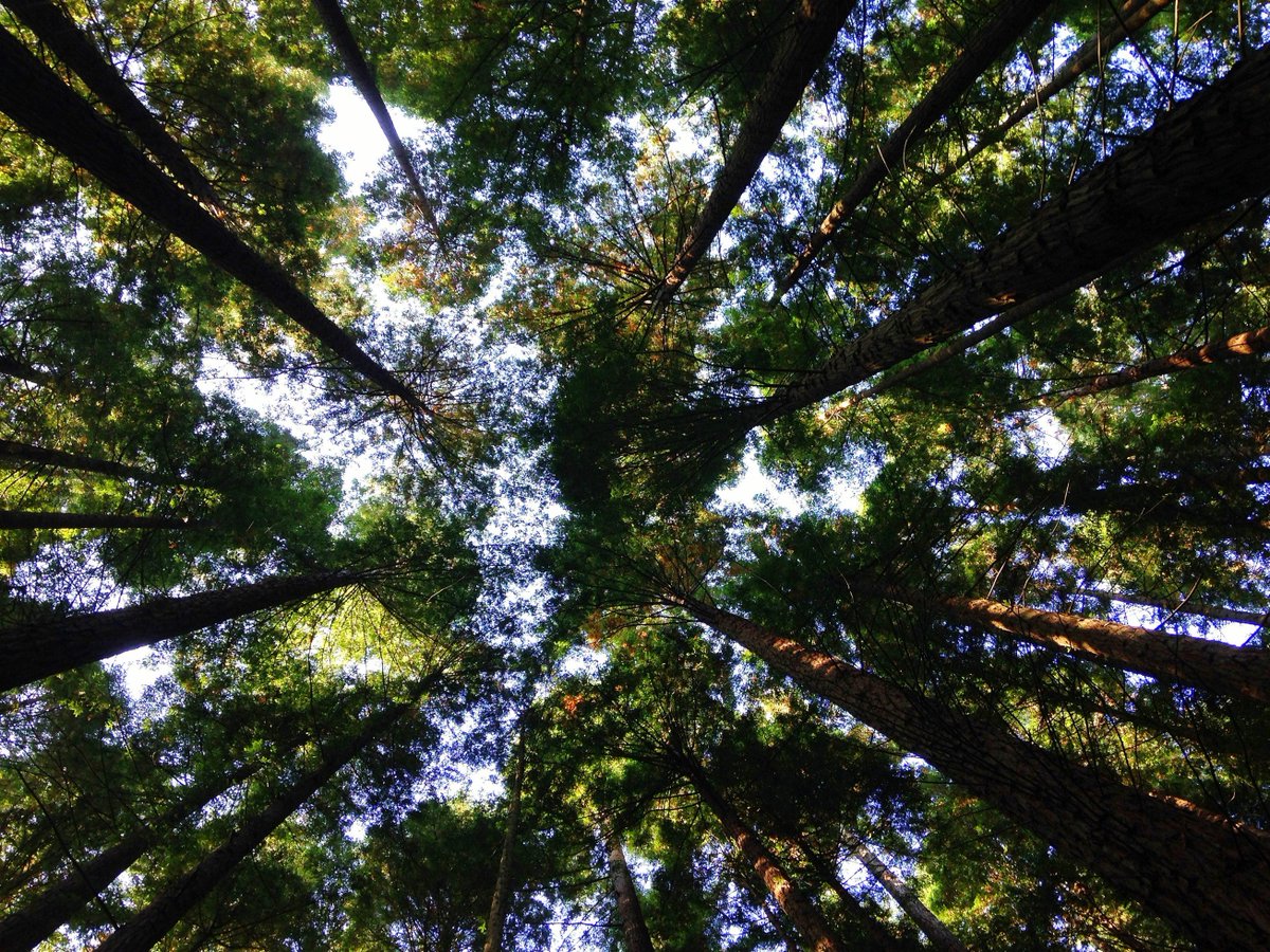 corpobids's tweet photo. At Corpobids we are concerned with the environment and the planet🐥🐘🐬🌍. That's why, we propose you the best road trips for this summer with electric cars according to the prestigious "The travel magazine".

https://t.co/LSxu0P4Qf4
.
.
.
.
.
#Travel #EarthDay #environment #cars https://t.co/Zbhau10RfP