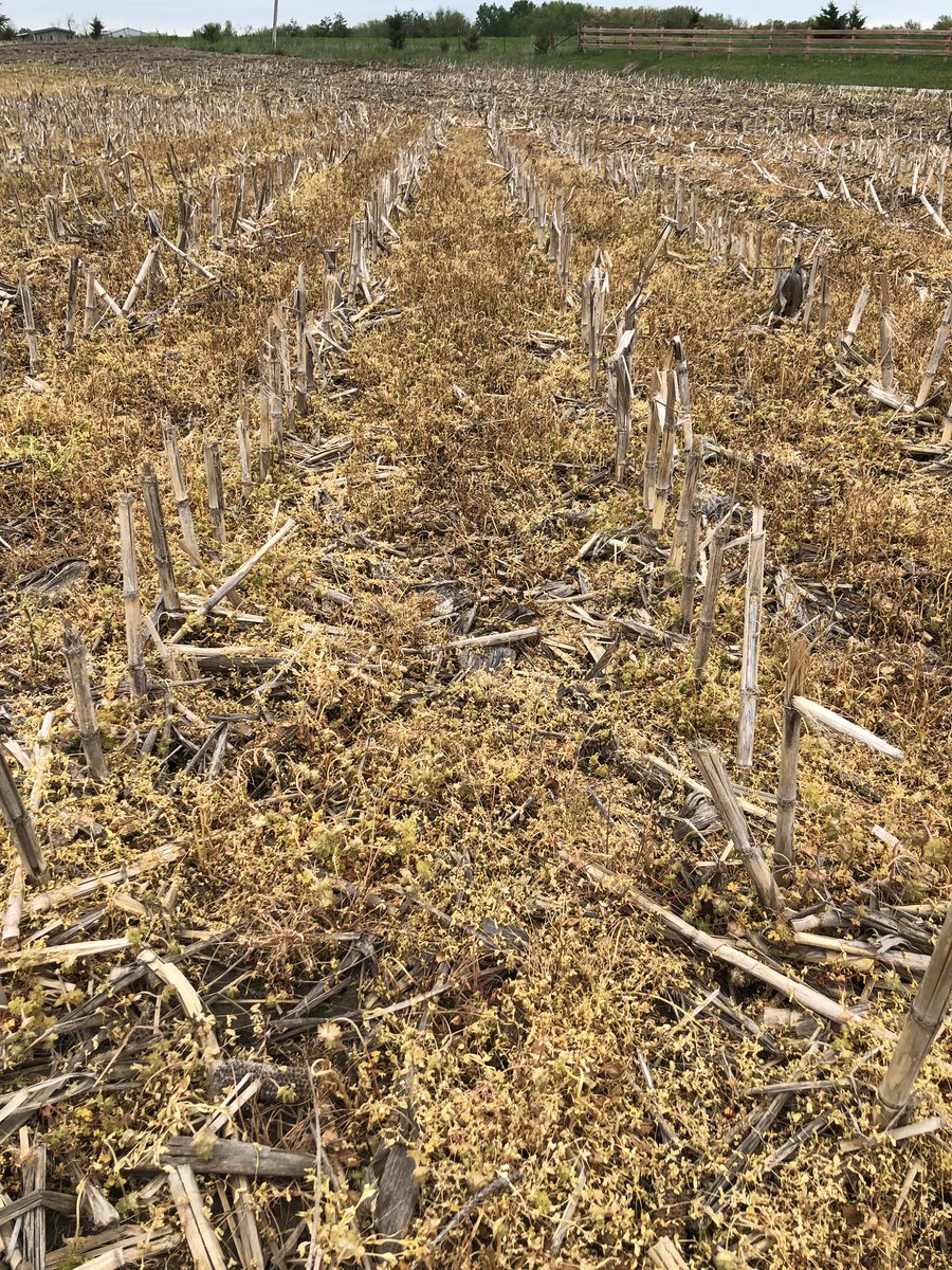 No till soybeans should start with a consistent burndown and residual treatment. We are delivering just that on this Cooper County field!