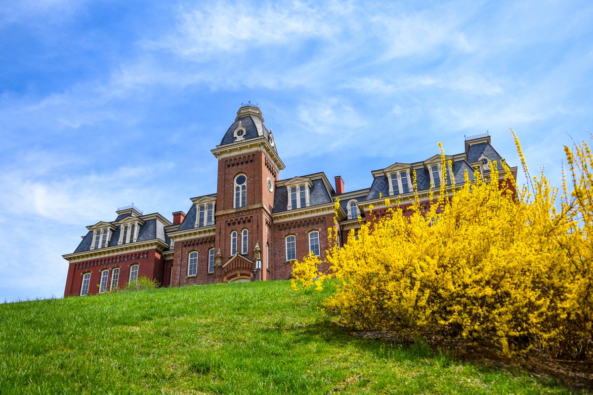 Woodburn Hall on the campus of West Virginia University with a blue sky in the background and a bush of yellow flowers in the foreground.