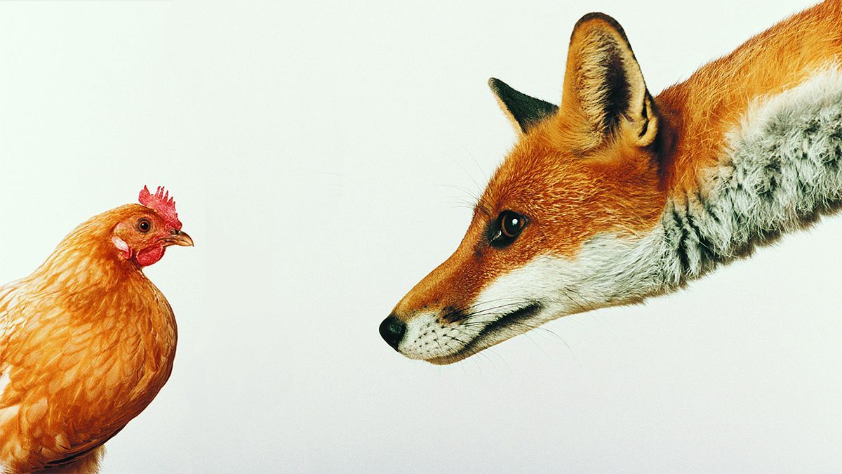 "Make Your Meetings a Safe Space for Honest Conversation" (by @askpaulaxtell via <a href="/HarvardBiz/">Harvard Business Review</a>) hbr.org/2019/04/make-y… - in fact, the more safe spaces we have for honest communication, the better.