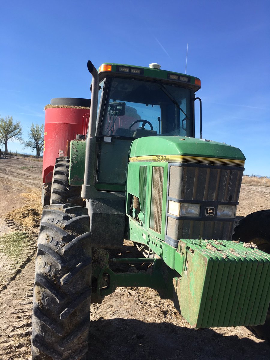 I followed the advice of the experts. I tried planting green this year. Already can see a difference. She runs a lot cooler 😜
