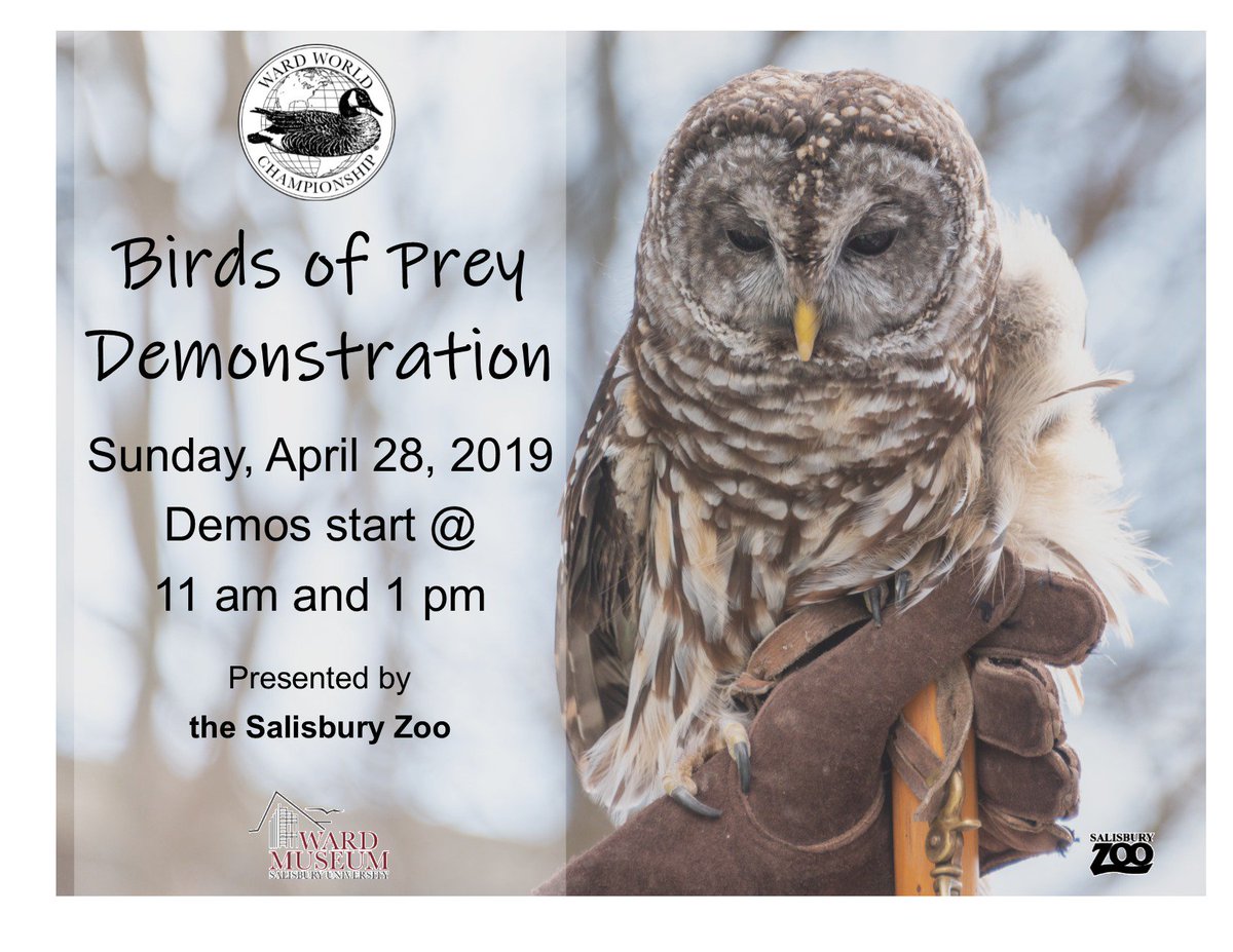 WardMuseum's tweet photo. Join us at the Ward World Carving Competition on Sunday, April 28, 2019 for live Birds of Prey Demonstrations presented in partnership with the @salisburyzoo!

Demos start at 11 am and 1 pm at the Roland E. Powell Convention Center in Ocean City, MD. https://t.co/wPuslYTSZb