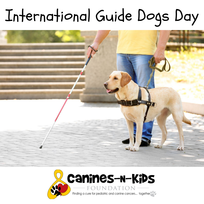 CNKFoundation's tweet image. Today is International Guide Dogs Day.  Shout out to all the canines that carry this title! #Guidedogday