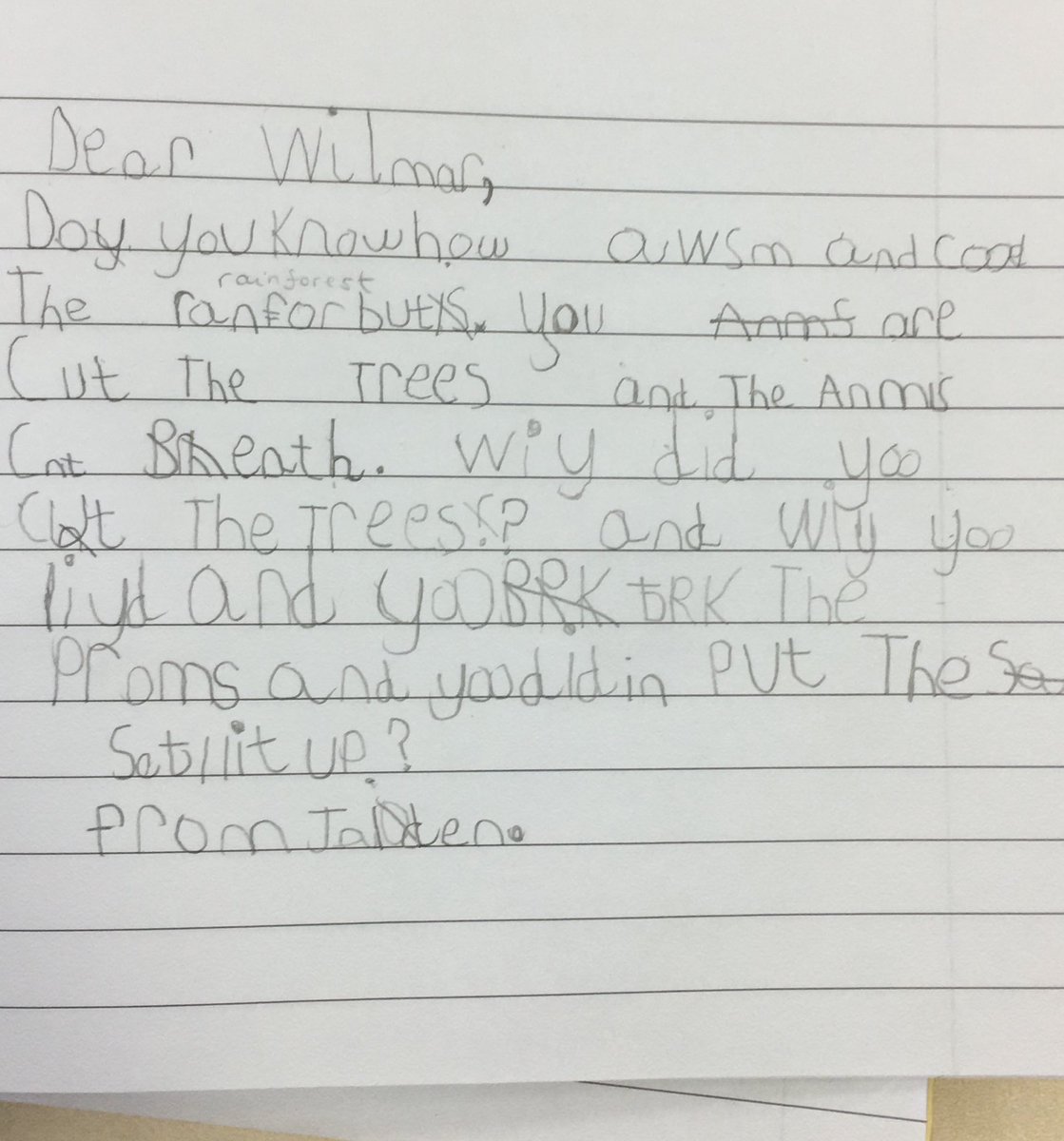 TeachingWithMrT's tweet photo. It’s been amazing to see the children so passionate about the issue of deforestation these last few weeks. They would love to share some of their letters to Wilmar, the biggest distributor of palm oil @Greenpeace #SavetheRainforest #NoForestNoLife #edtechchat https://t.co/ID6Vuuu5B0