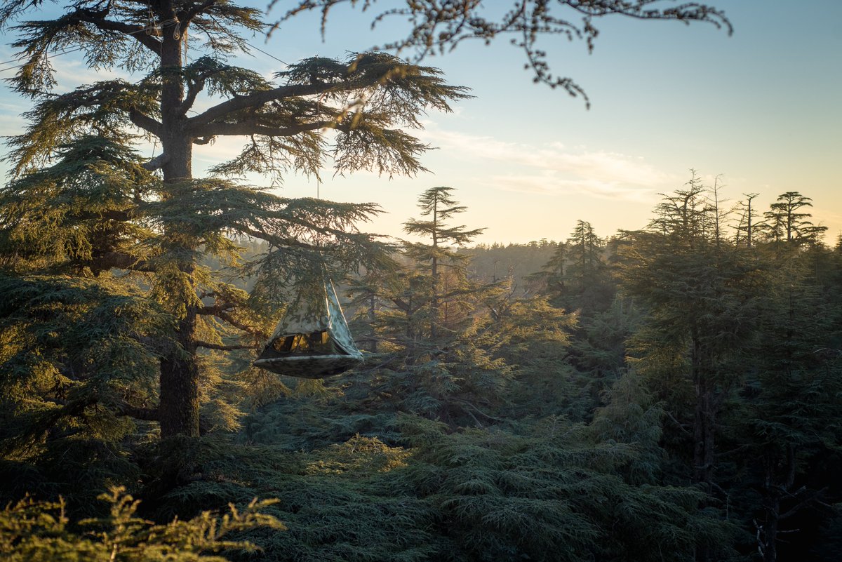 skypodworld's tweet photo. Wouldn't it be amazing to hang out somewhere as beautiful as this #WednesdayMotivation #wakeupintheforest #lovelive https://t.co/dMNVuAKVkU