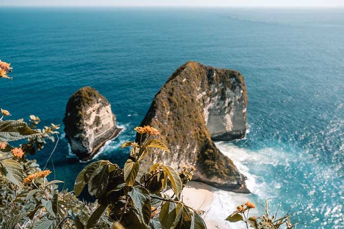 RoblemVR tweet media