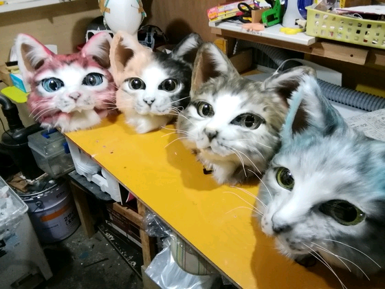 山田 三毛猫 on X: 山田 三毛猫 on X:
