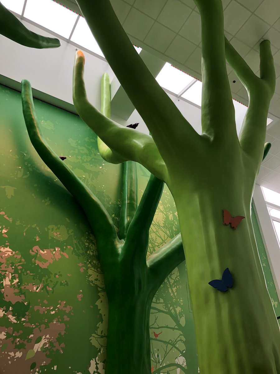 MArnold_PedPath's tweet image. Celebrating #LabWeek with an educational display about what happens in the lab, and prizes! Great job Kay, Cassidy and Veronica!#NCHpath @ASCP_Chicago