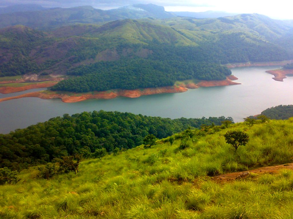 itisablog's tweet image. #Idukki is 97% of the forest cover and rocky terrains of hill in the district that lies at an altitudinal range of 750 m to 2000 m. #vagamon #triptokerala #hillstationsofkerala #wanderlust #bagpacker #travelling #india #southindia #travelblog #godsownland bit.ly/2DsgH1w