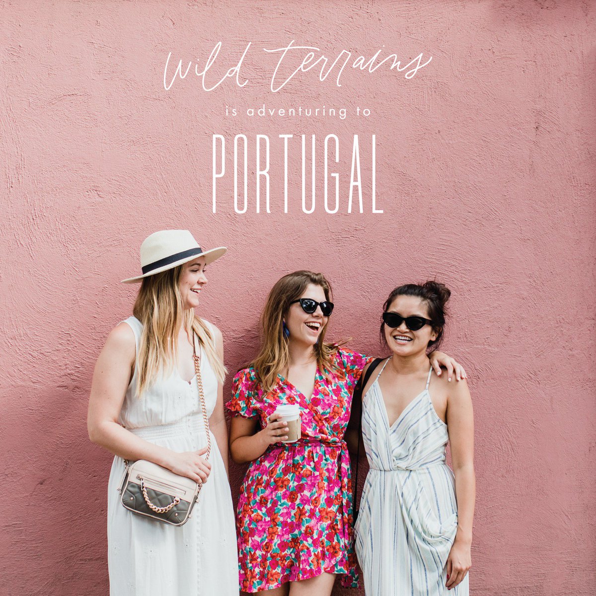 Wild Terrains tweet media