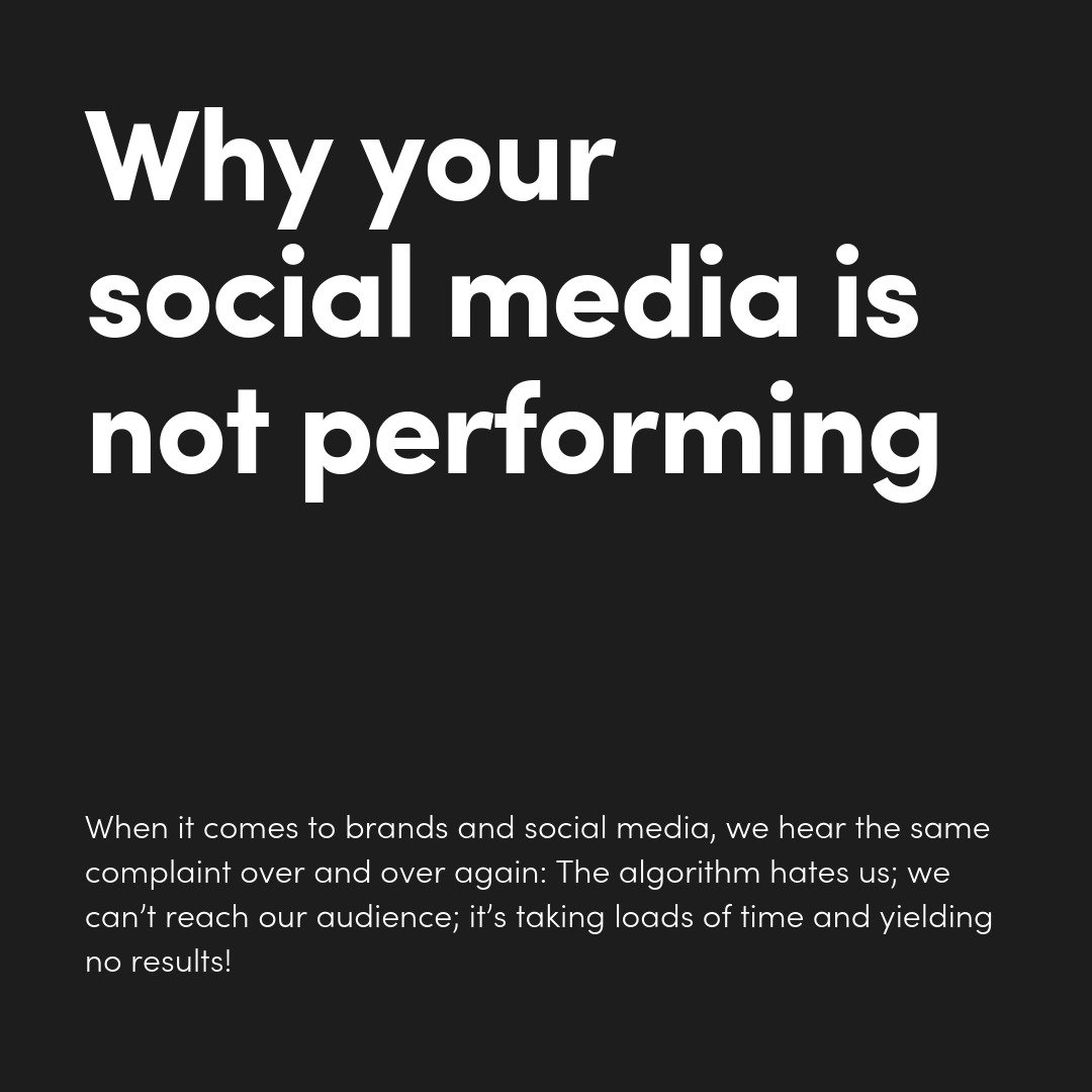 "Do social media algorithms hate me?"  Click the link below to access 6 tips/ areas you can look at when it comes to social media marketing. 
Comment with your queries, we would love to answer any questions you might have. wp.me/paO539-ic