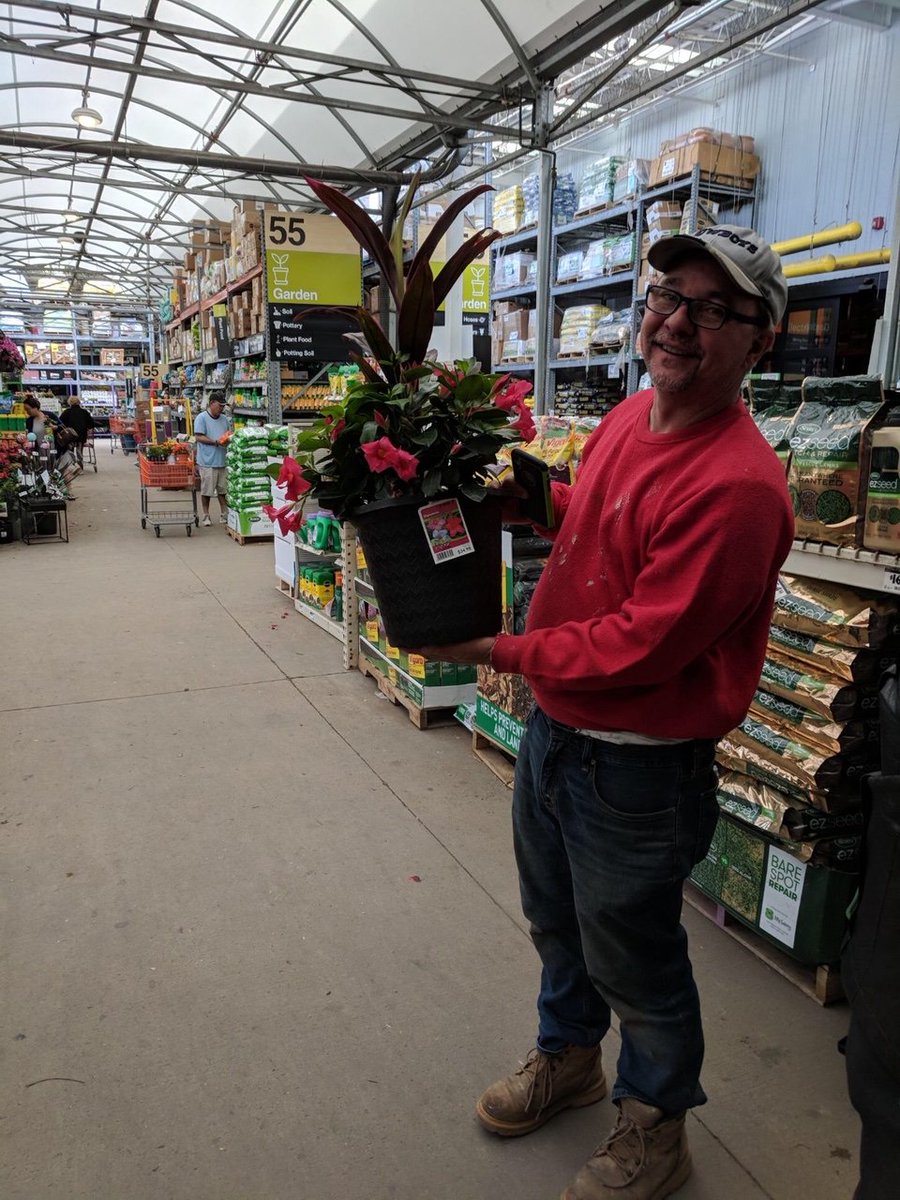 ClassicHG's tweet photo. Fairfax Virginia customers cannot resist #riodipladina This easy care, big bloomer is sold exclusively @HomeDepot #dipladenia #gardening #flowers #easygardening https://t.co/PQ9mg8eG3P