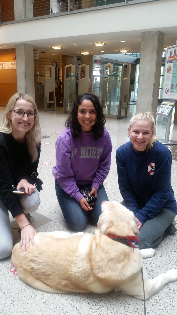 MollyDavisOSU's tweet photo. #Pause4Paws@ Thompson Library https://t.co/K1nbBQ7VJn