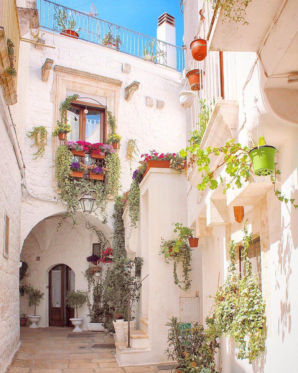 Beauty is just around the corner! Welcome to Cisternino, one of the chalky-white villages of the Itria Valley 👉 bit.ly/Itria_Valley-P…
<a href="/WeAreInPuglia/">WeAreInPuglia</a> <a href="/BorghiPiuBelli/">Borghi+belli Italia</a> #TreasureItaly #traveltips
📷 IG vinkweb